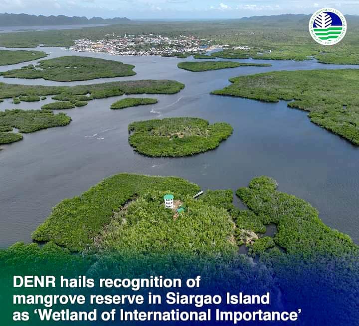Mangrove Reserve in Siargao Hailed ‘Wetland of International Importance'
